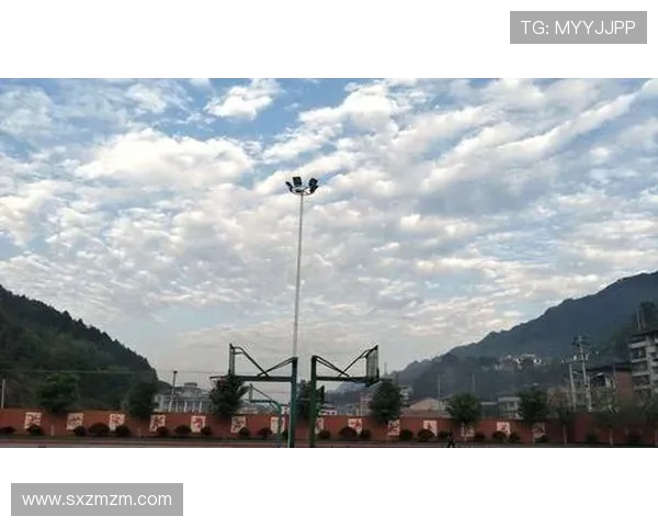 以篮球之名凝聚青春力量共谱拼搏梦想新篇章