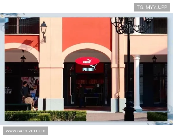 全方位探索体育运动的魅力与精神：从竞技场到生活的多重价值解析