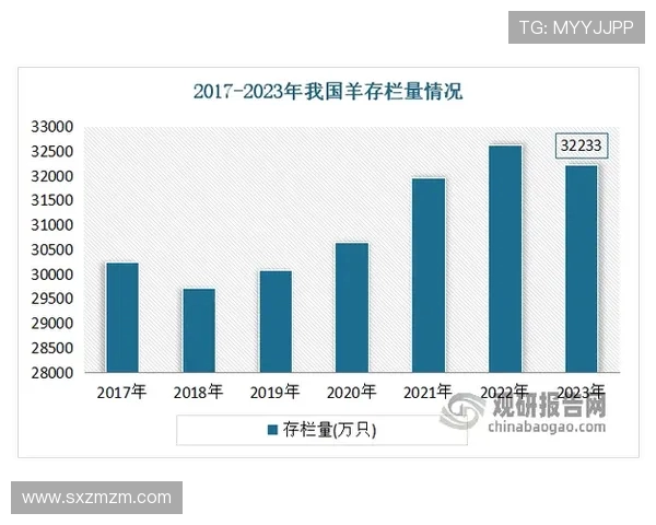 探索全球电竞产业崛起与未来发展趋势及生态构建路径分析研究前景