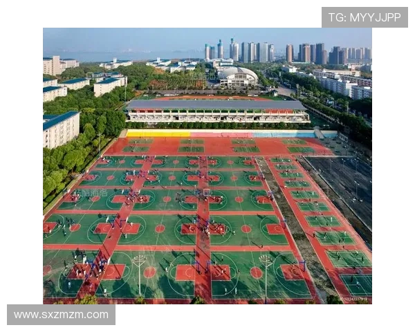 聚焦绿茵巨星精彩成长轨迹与球场至尊荣耀故事全景全方位深度解析