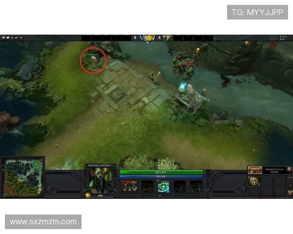 TES战队区域防守体系解析与DOTA2战术深度剖析