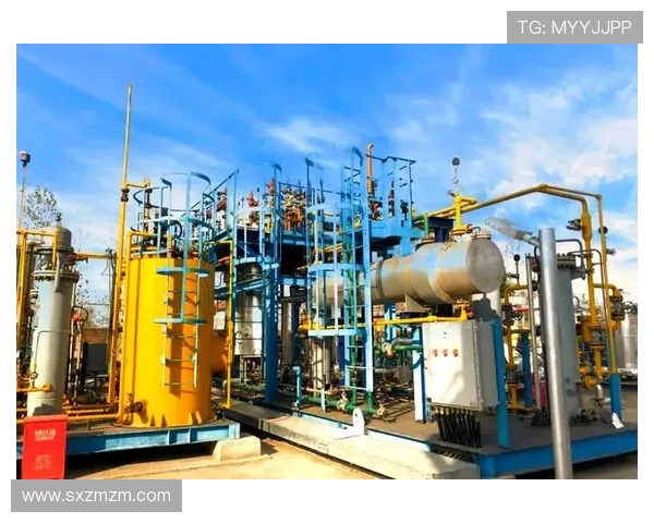 全球挑战赛特别报道：液化天然气如何在能源转型中崛起与发展