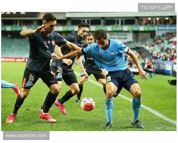 墨尔本城与西悉尼对决全方位分析及比赛前瞻