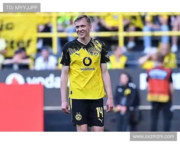 多特蒙德球迷暴力事件引发欧冠禁赛与高额罚款惩罚措施